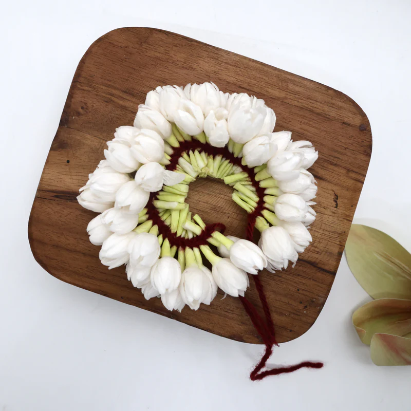 Realistic Thick Paper Based Medium Sized Veni